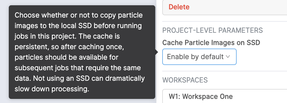 Project-level defaults for caching particle images on local SSDs
