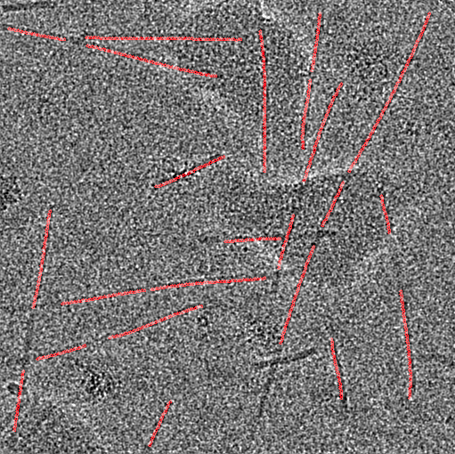 cryoSparc helical reconstruction