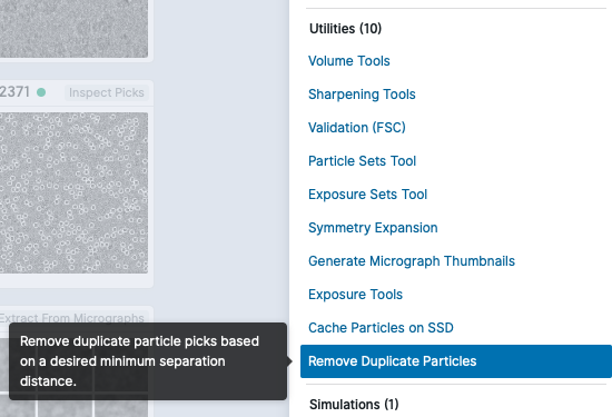 cryoSparc remove duplicate particles job