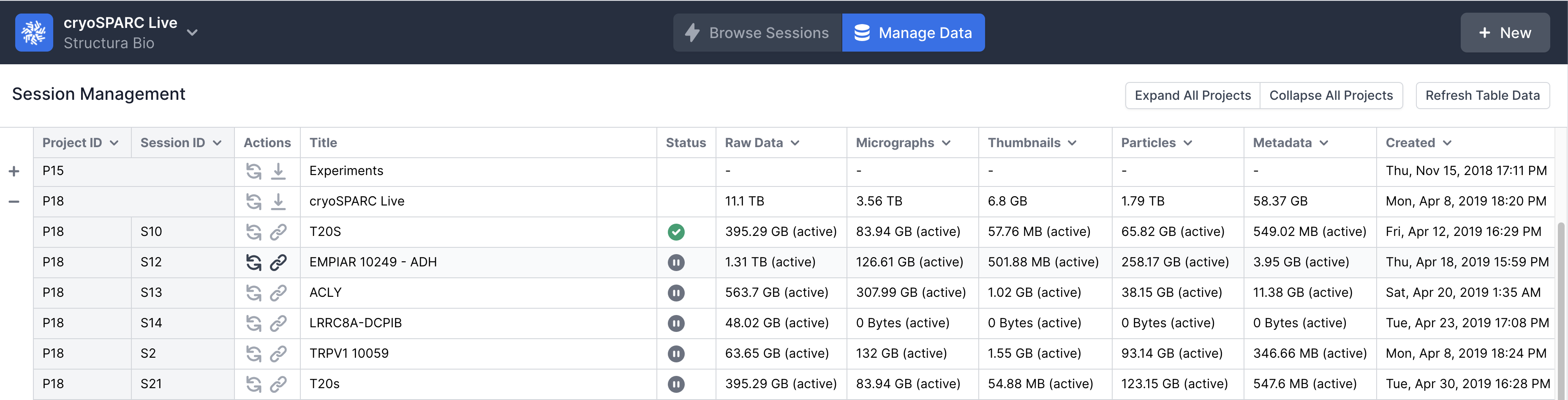 cryoSparc live session data management
