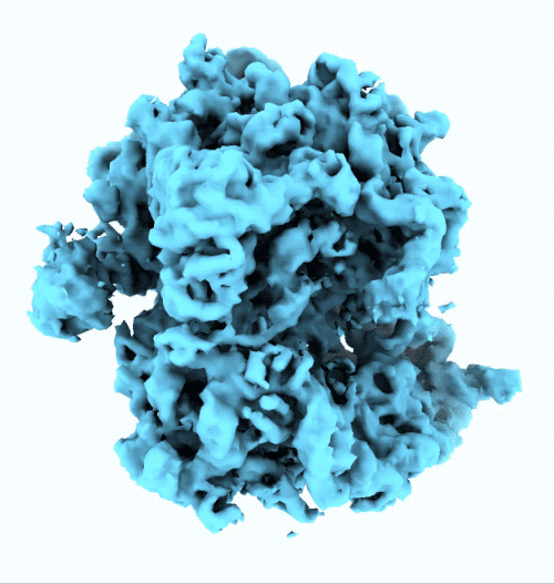 3D Classification