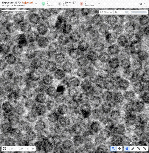 Exposure viewer ruler and scale bar