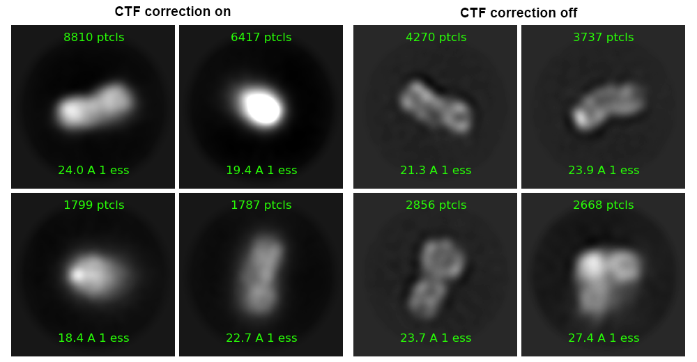 CryoSPARC 2D Classification without CTF correction