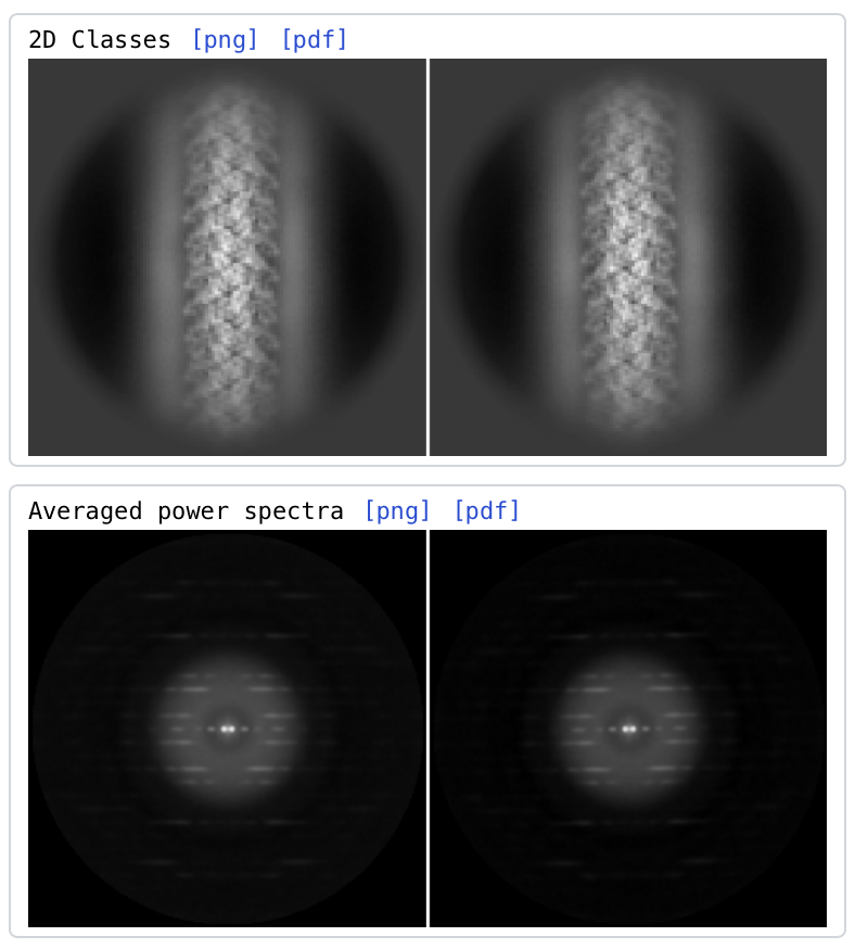 Example of averaged power spectra from 2D classes of the NLRP1-CARD filament (EMPIAR-10564)