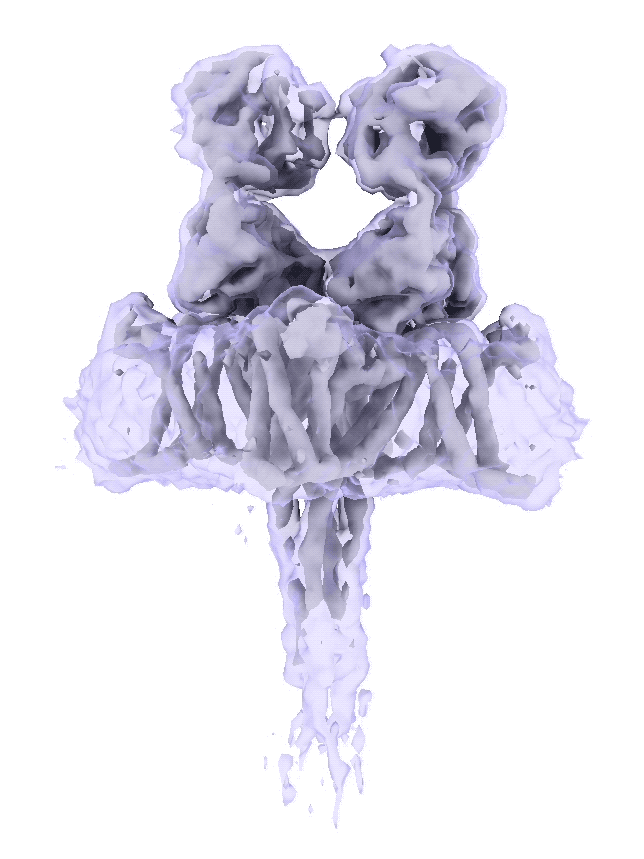 Class 3D tutorial E10261 navchan gif