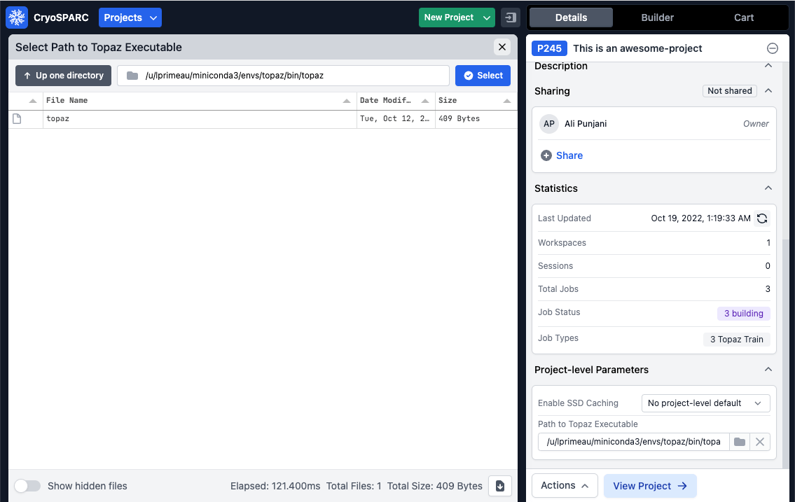 Set a path to the Topaz executable for all new jobs created in the project.
