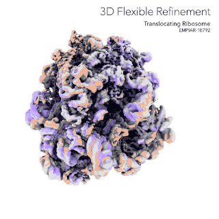 3DFlex