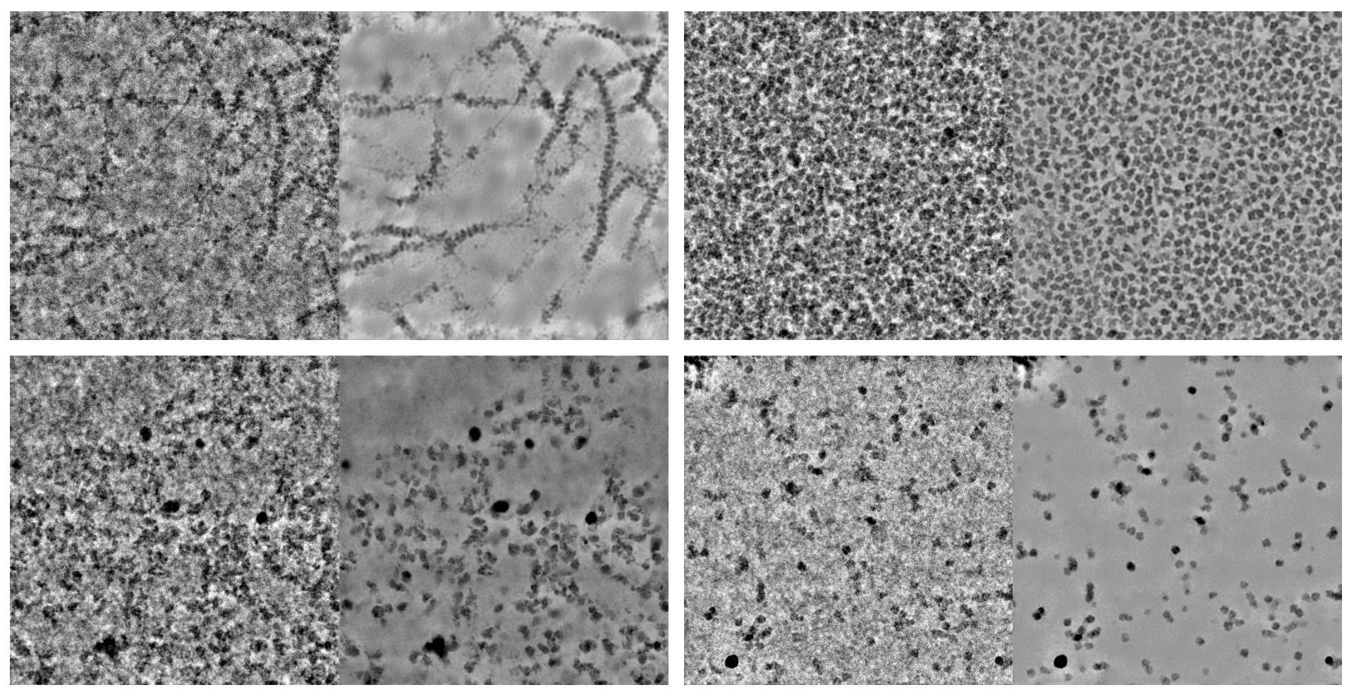 Micrograph Denoiser results